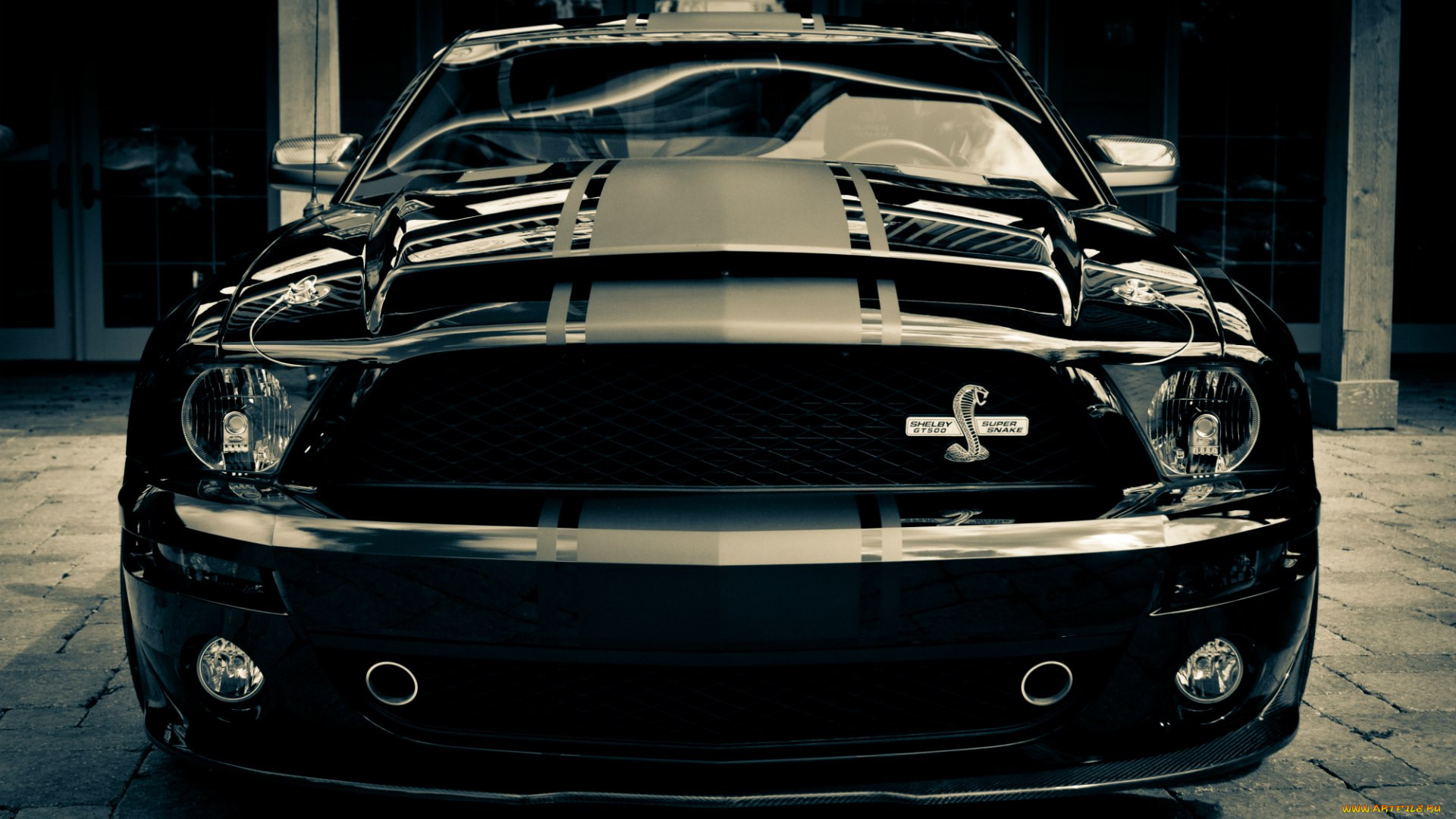 , mustang, ford, snake, super, gt500, shelby